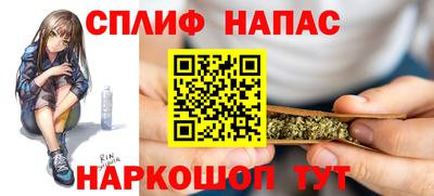 сатива Камышлов
