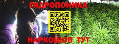 сатива Камышлов