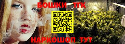 сатива Камышлов