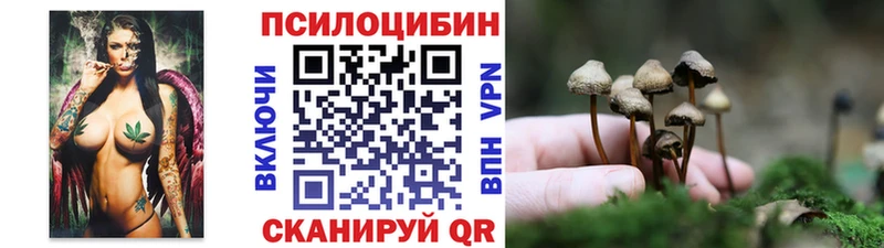 МЕГА зеркало  купить наркоту  Малоярославец  Псилоцибиновые грибы мухоморы 