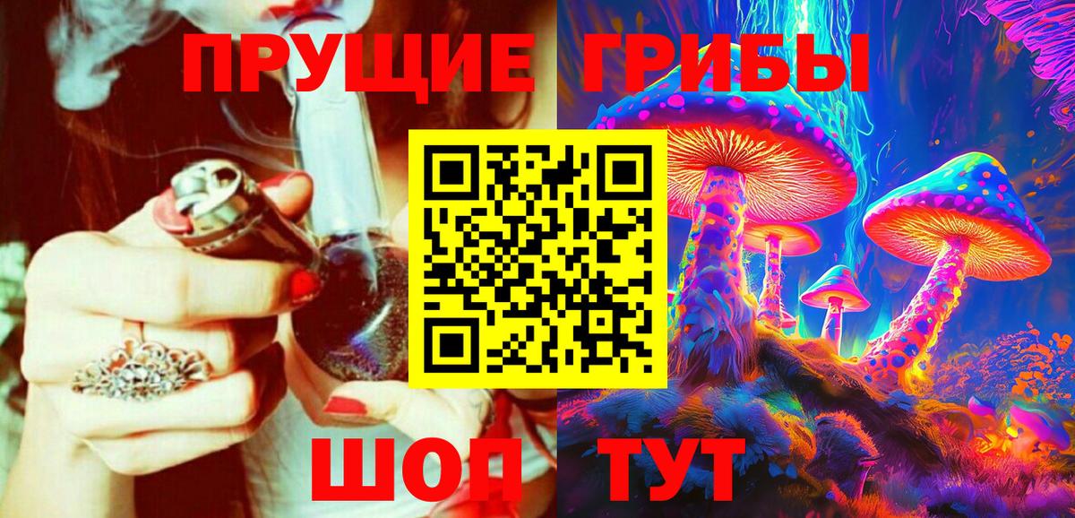 Галлюциногенные грибы Psilocybe Малоярославец