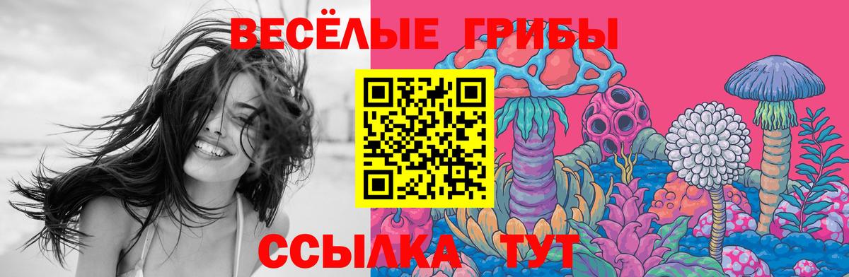 Галлюциногенные грибы мухоморы  Псилоцибиновые грибы мицелий  Малоярославец  Вход с VPN 